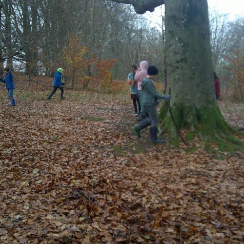 Forest School