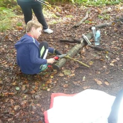 Forest Schools