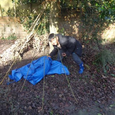 Forest School