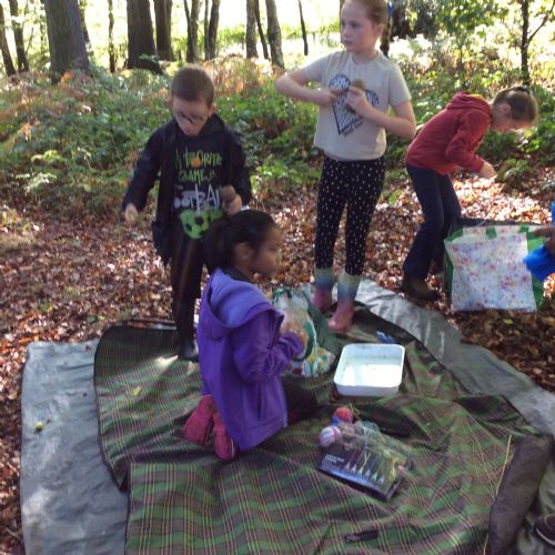 Forest School