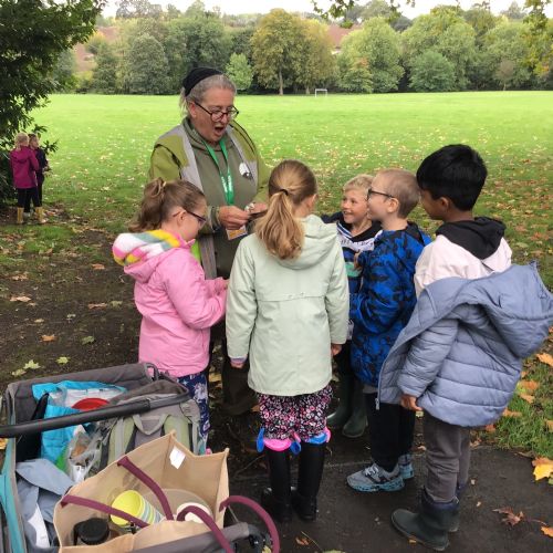 Forest School